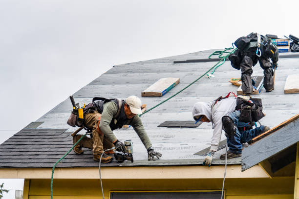 Professional Gutter Installation technician working in Everson, WA